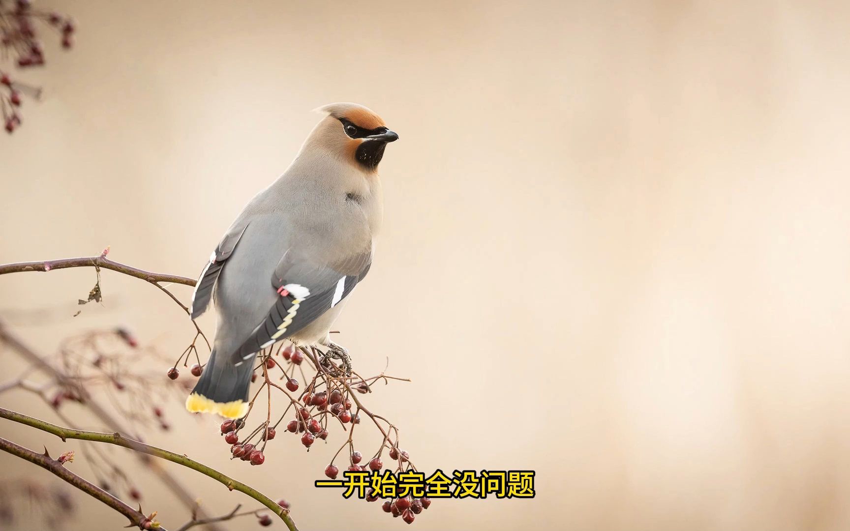 [图]您是否遭受过不良曝光的困扰？让每次都能获得完美曝光的技巧