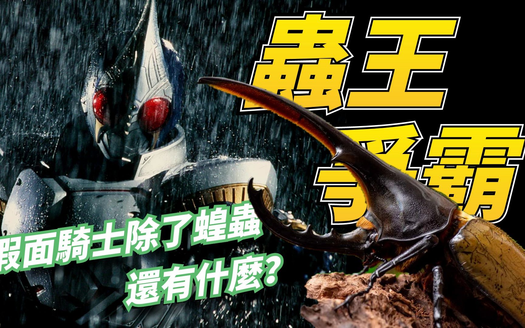 假面骑士虫王争霸赛,假面骑士除了蝗虫还有什么昆虫,假面骑士中出现了