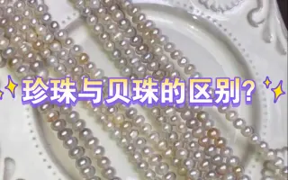 贝珠 搜索结果 哔哩哔哩 Bilibili
