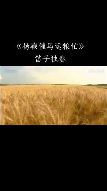 经典名曲.《扬鞭催马运粮忙》笛子独奏.创作/作曲/演奏:魏显忠(笛子大师).乐曲热情明快,生动朴实.描写丰收以后的农民驾着满载粮食的大车,喜...