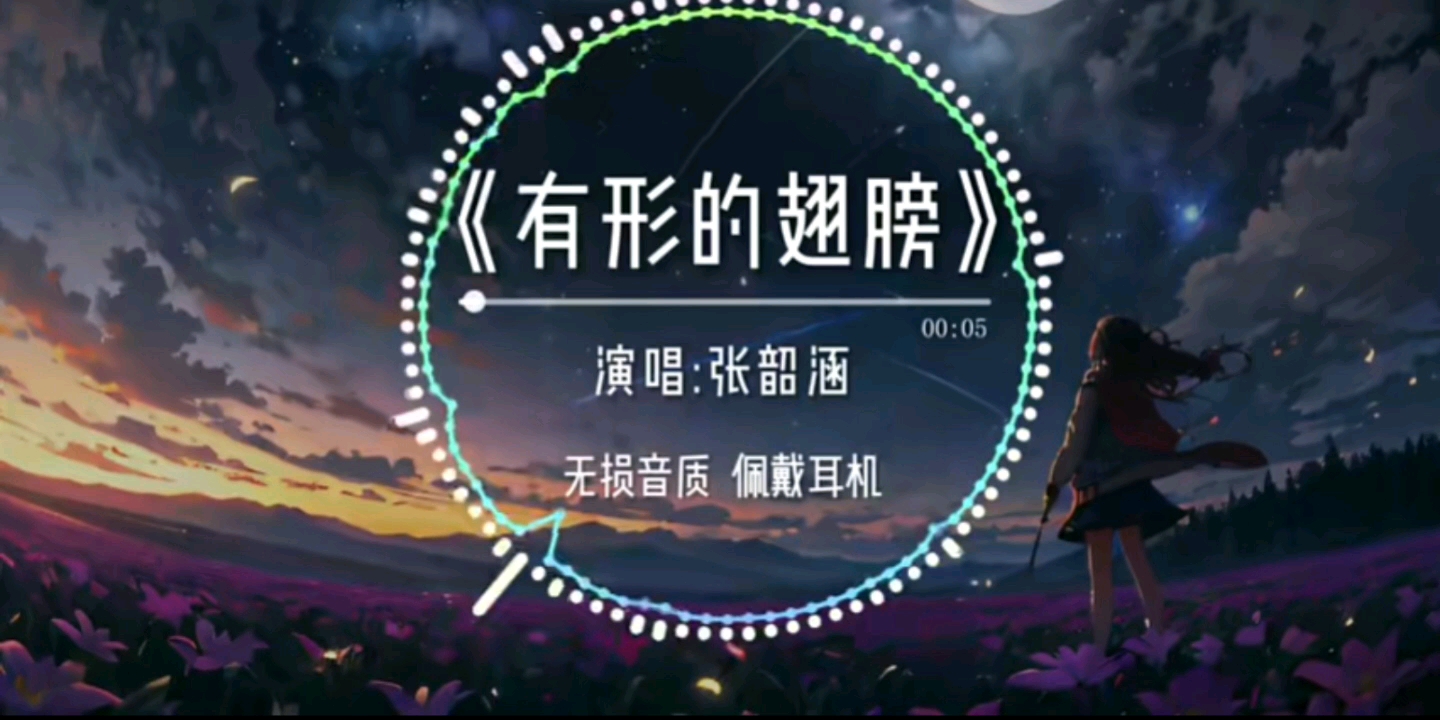 有形的翅膀哔哩哔哩bilibili