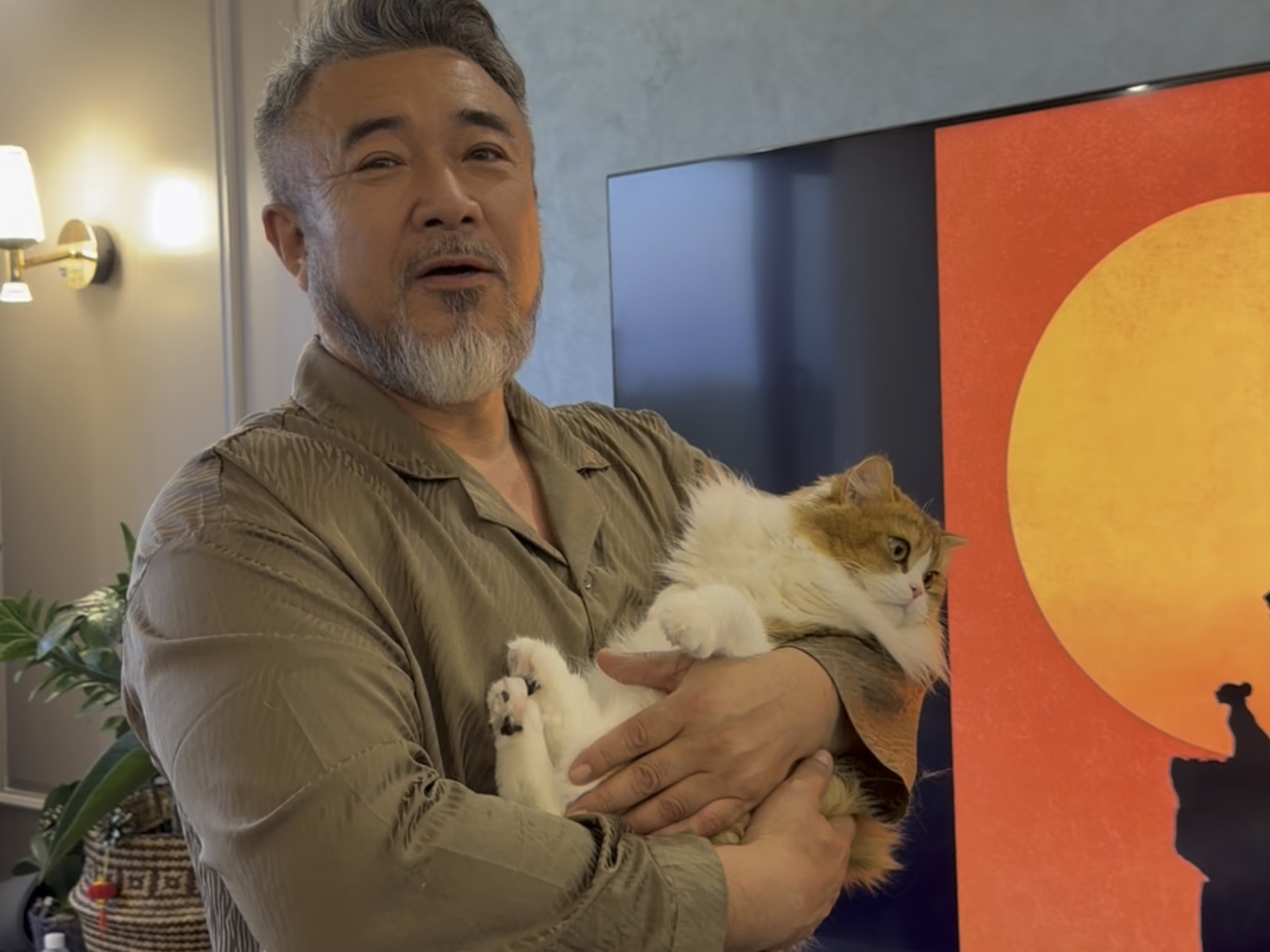 一想起一会有一堆小猫被举起来我就想笑