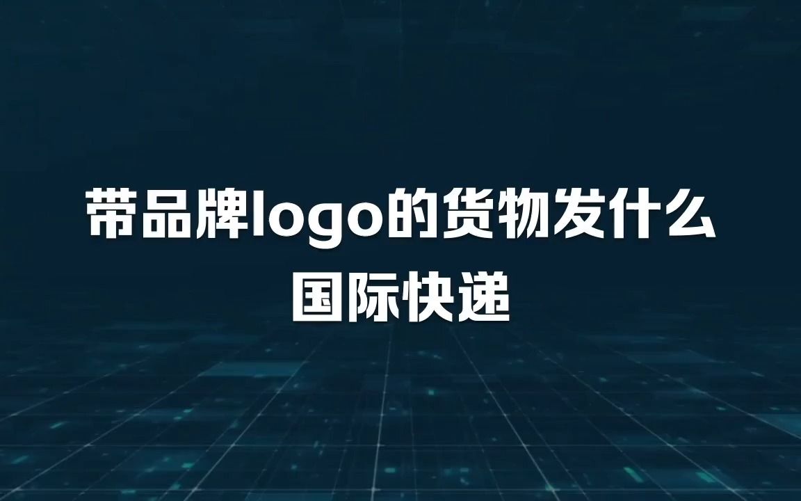 带品牌logo的货物发什么国际快递哔哩哔哩bilibili