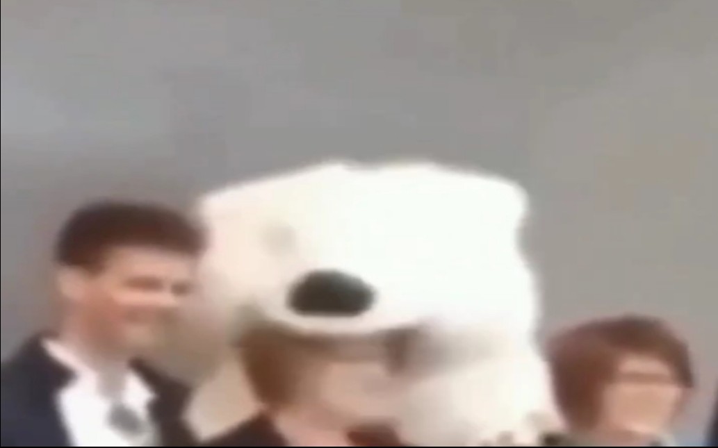 【每日一遍,防止抑郁】不要笑挑战,67%的人坚持不到最后 国外沙雕搞笑集锦簿memes#155-C___137-C___137-哔哩哔哩视频