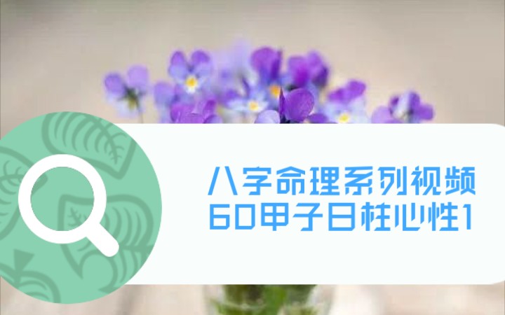 八字命理系列视频之60甲子日柱心性1哔哩哔哩bilibili