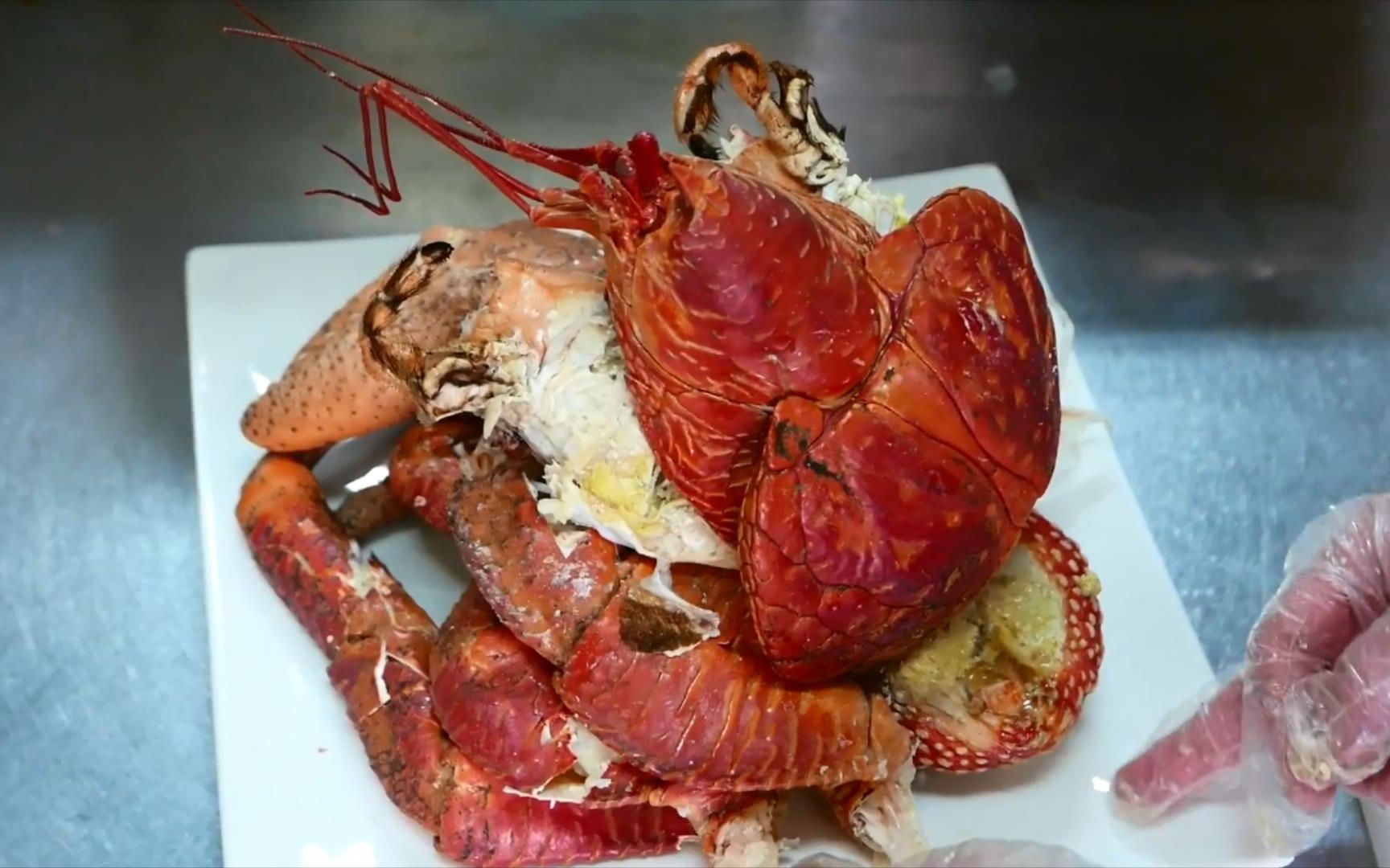 【日本街头美食】超大椰子蟹_哔哩哔哩 (゜-゜)つロ 干杯~-bilibili