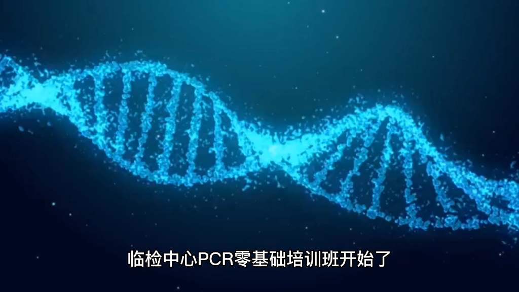 临检中心实操培训班开始了#pcr哔哩哔哩bilibili