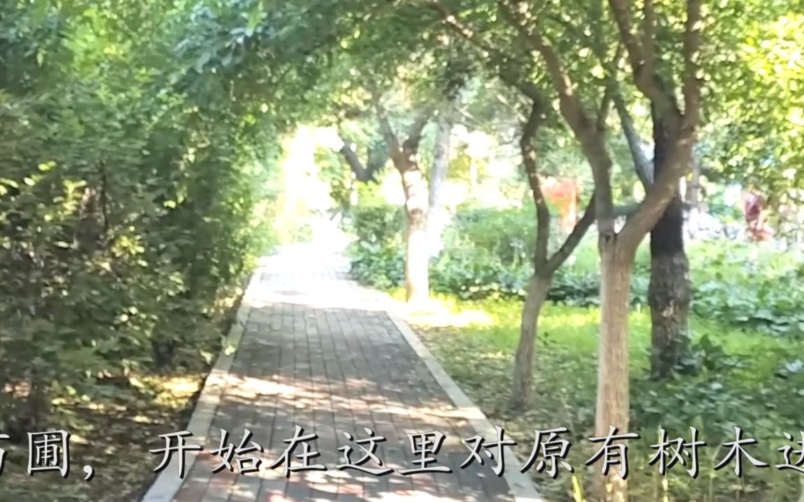 长春林园哔哩哔哩bilibili