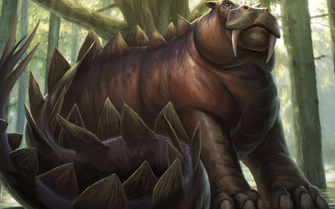 弱智牌典范——薪传河马红日奥札奇_哔哩哔哩 (゜-゜)つロ 干杯~-bili