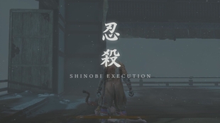 只狼巨型忍者枭sekiro Shadows Die Twice 哔哩哔哩 つロ干杯 Bilibili