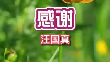 诗歌:《感谢》(汪国真)诵读文子哔哩哔哩bilibili