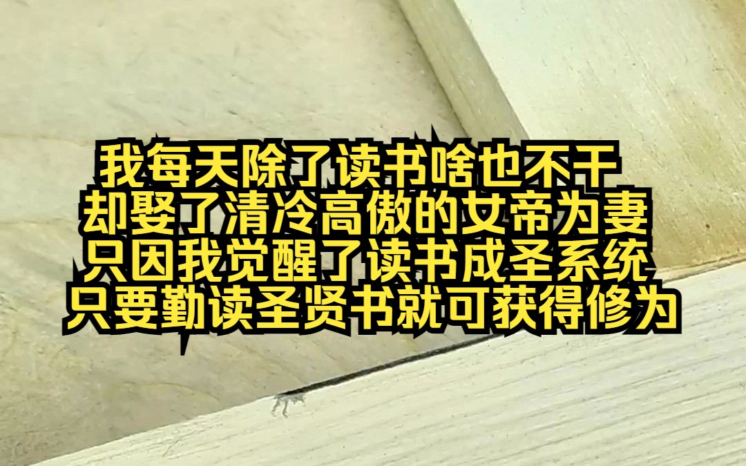 《读书成圣》我每天除了读书啥也不干,却娶了清冷高傲的女帝为妻,家务就让老婆做,吃饭就让老婆煮洗澡我给老婆洗,偏偏女帝老婆毫无怨言哔哩哔哩...