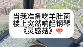 当我准备吃羊肚菌，邻居却演奏起了《灵感菇》