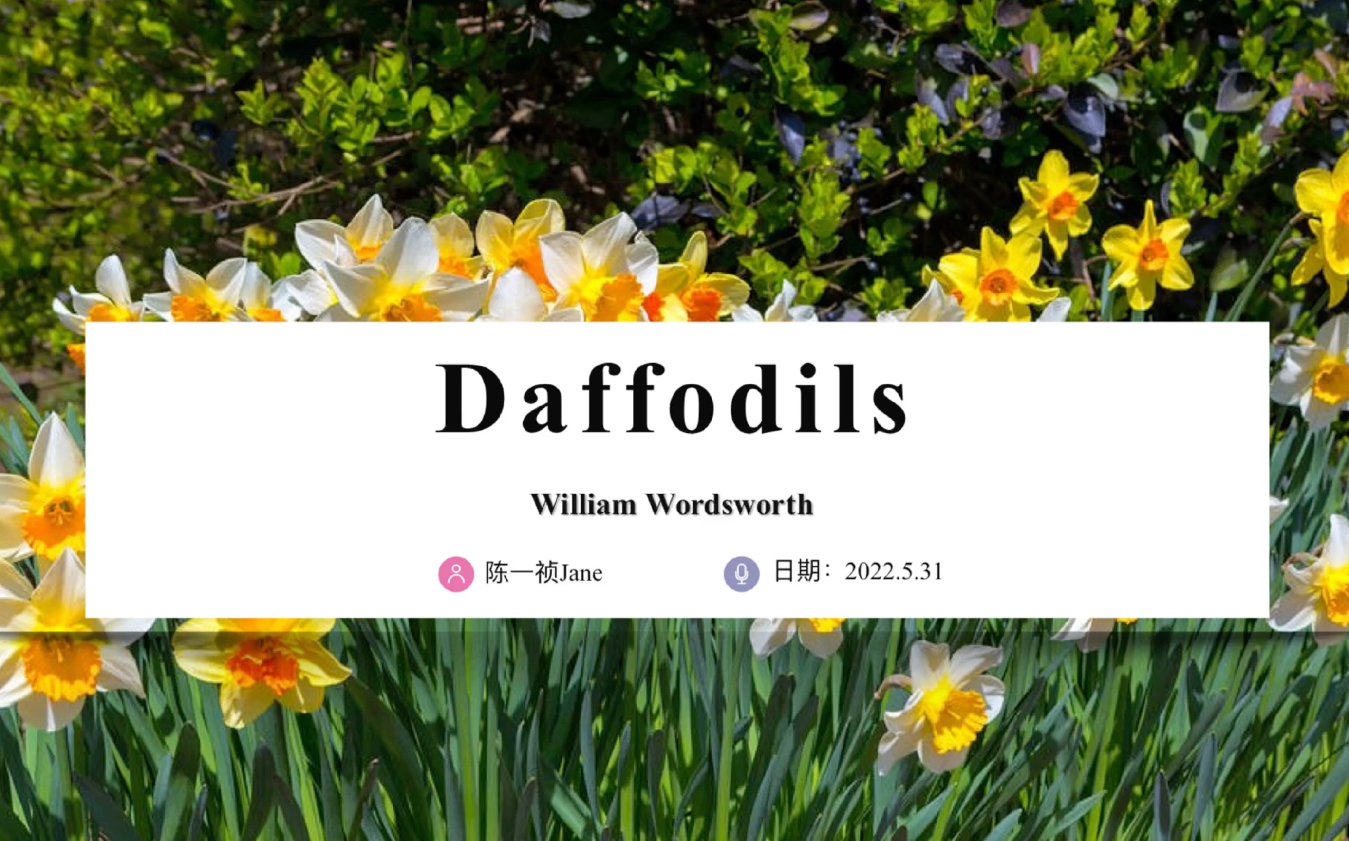 Daffodils 《咏水仙》Willian Wordsworth 威廉华兹华斯哔哩哔哩bilibili