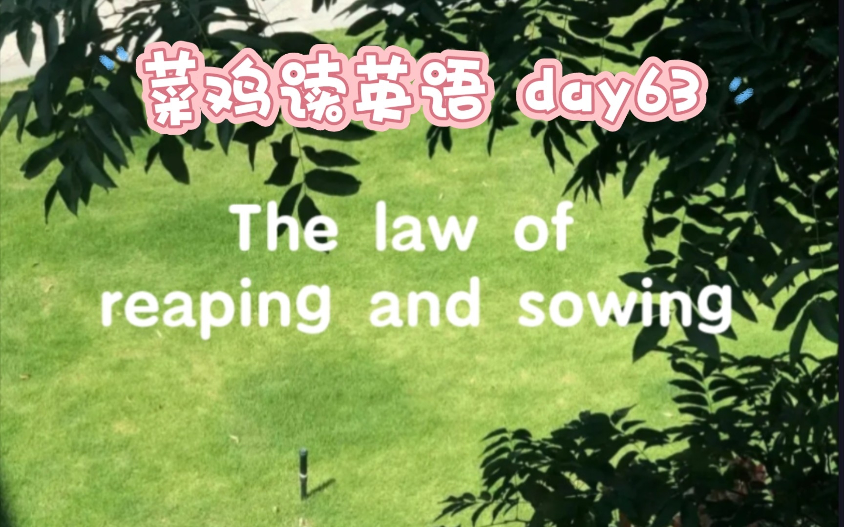 菜鸡读英语 day63之播种收获法则.哔哩哔哩bilibili