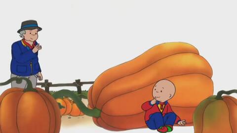 Caillou Francais Caillou Et Le Grand Toboggan S01e49 哔哩哔哩 Bilibili