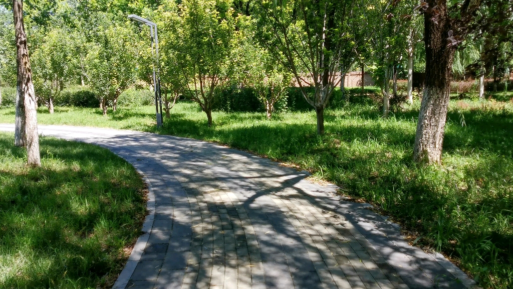 活动  北京永顺城市公园