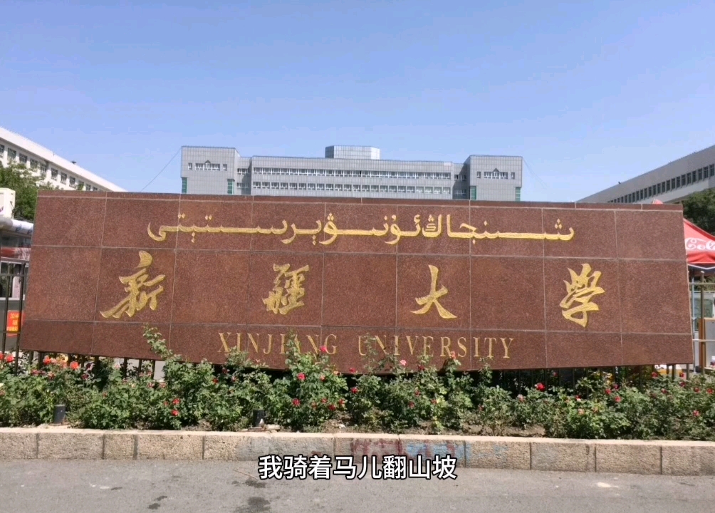 最美大学,新疆大学哔哩哔哩bilibili