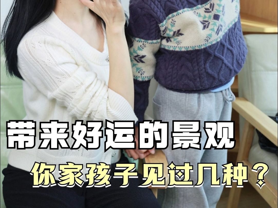 带来好运的景观,你家孩子见过几种?哔哩哔哩bilibili