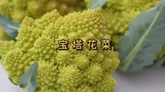 下载视频: 宝塔花菜你们见过吗，蔬菜界的艺术品