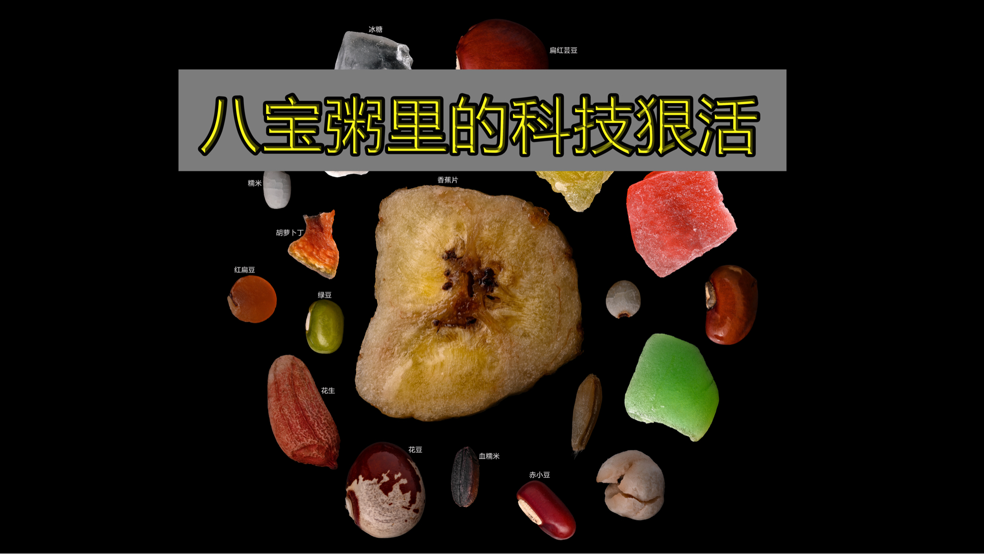 显微摄影,八宝粥里的20种料哔哩哔哩bilibili