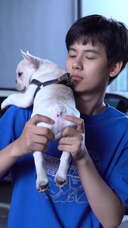 胡先煦棋魂剧组鸡飞狗跳,在剧组真是狗都怕了他!jojo太无奈了