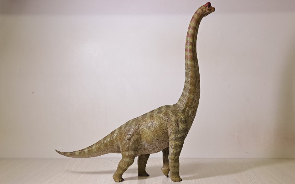 本心楠改红头腕龙开箱