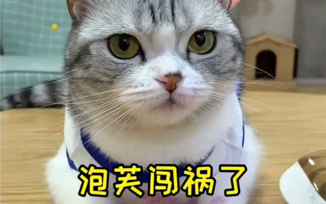 [图]今天献上爱吃火龙果的王泡芙～