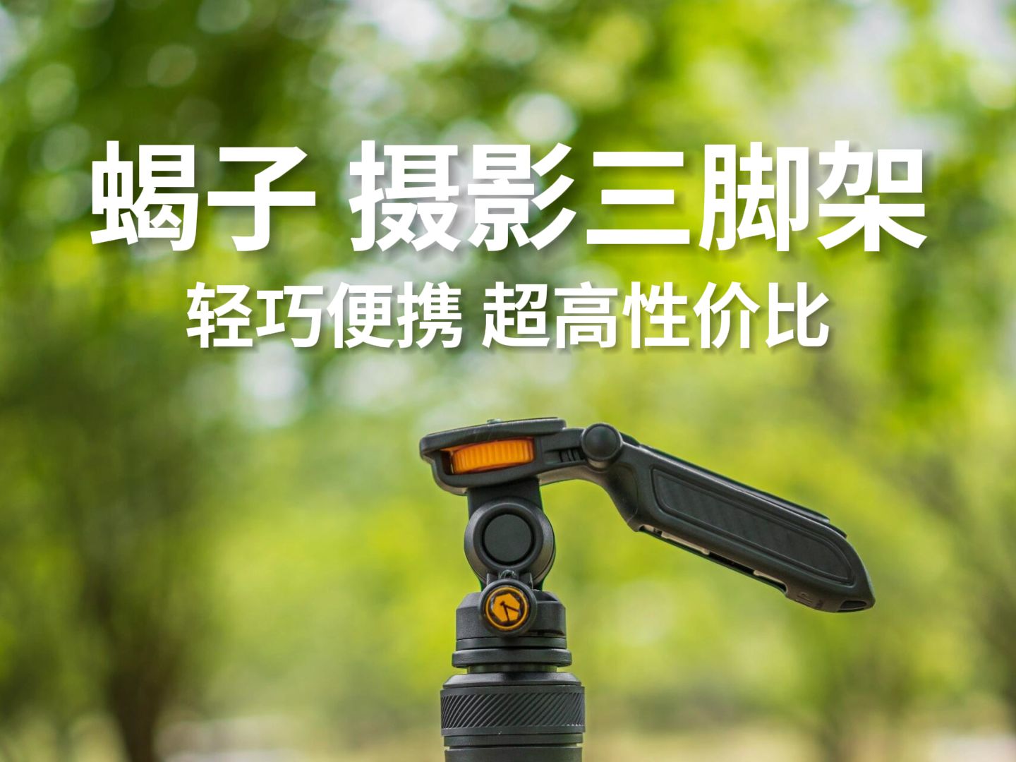 二合一 tarion图玲珑蝎子三脚架scorpion#tarion #图玲珑摄影三脚架