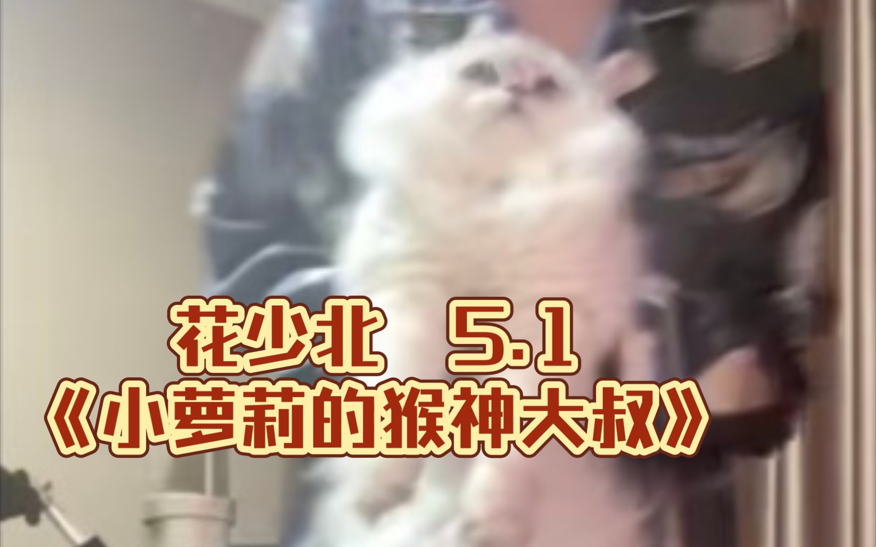 【花少北】5.1北子陪你看电影《小萝莉的猴神大叔》