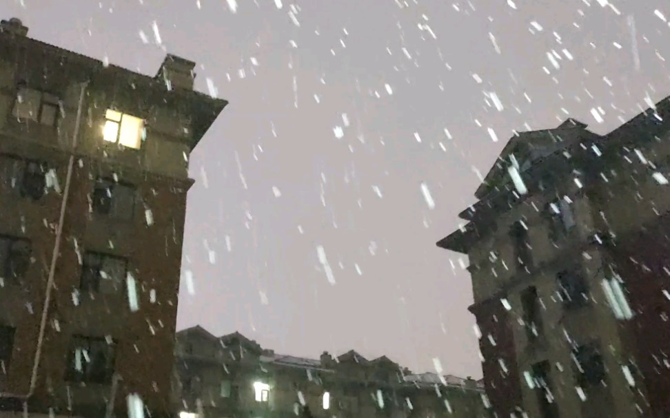 沈阳现在又开始下雪了,今晚大雪到暴雪,真冷啊哔哩哔哩bilibili