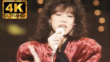 【中森明菜/Akina Nakamori Special Live 2009】 中森明菜 Akina Nakamori Special Live 2009 中森明菜/Akina