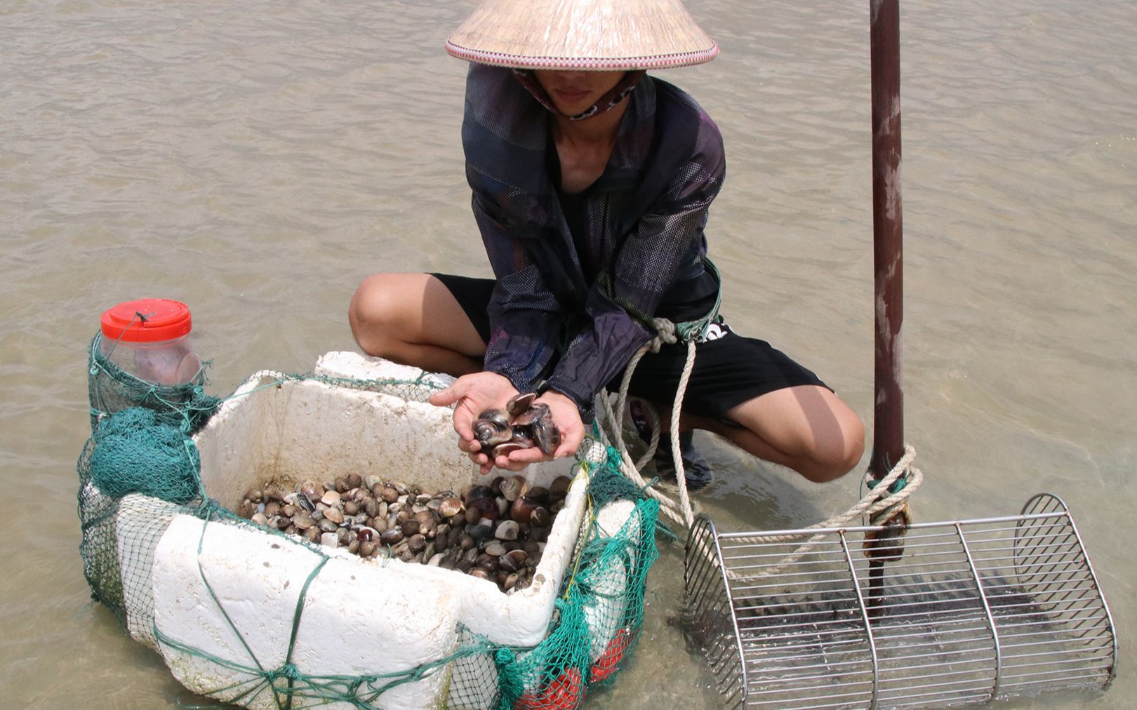 免费赶海的地方,阿旺还能挖到几十斤海螺,海资源也太丰富了_哔哩哔哩