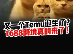 Download Video: 又一个Temu诞生了？1688跨境真的来了！