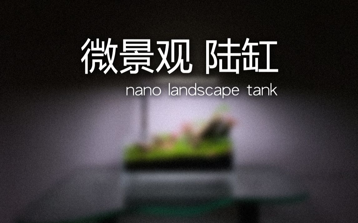 nano tank 微景观陆缸/草缸 Flat Nano银色水草灯&dooa悬浮缸哔哩哔哩bilibili