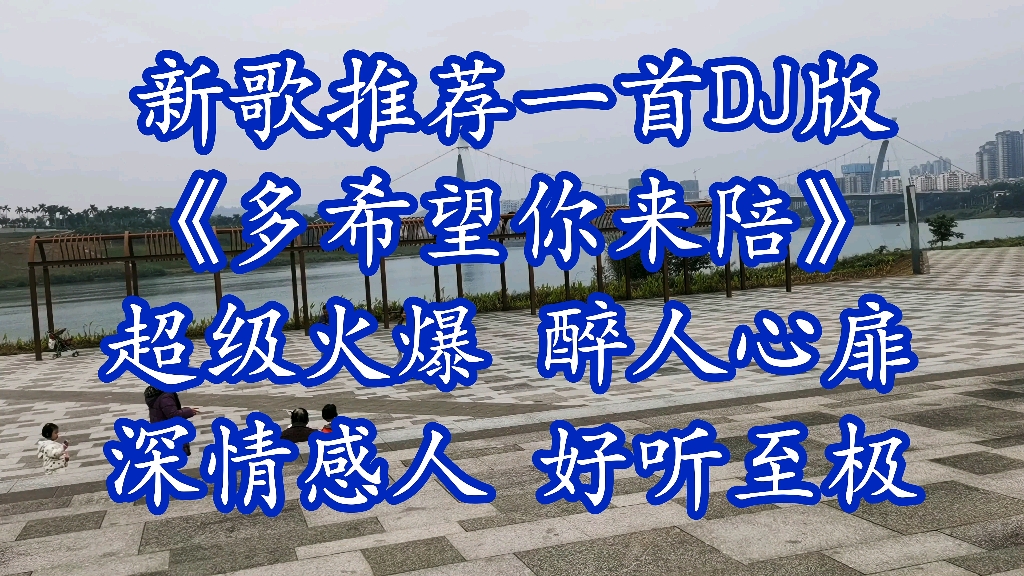 [图]新歌推荐一首DJ版《多希望你来陪》超级火爆 醉人心扉深情感人 好听至极