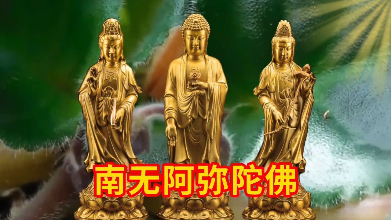 禅乐超好听《南无阿弥陀佛》真正原唱,洗涤心灵,消除烦恼!哔哩哔哩bilibili