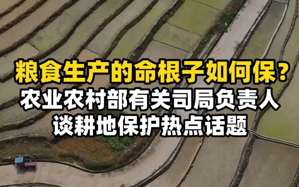 追踪侵占耕地投诉|粮食生产的命根子如何保?——农业农村部有关司局负责人谈耕地保护热点话题哔哩哔哩bilibili