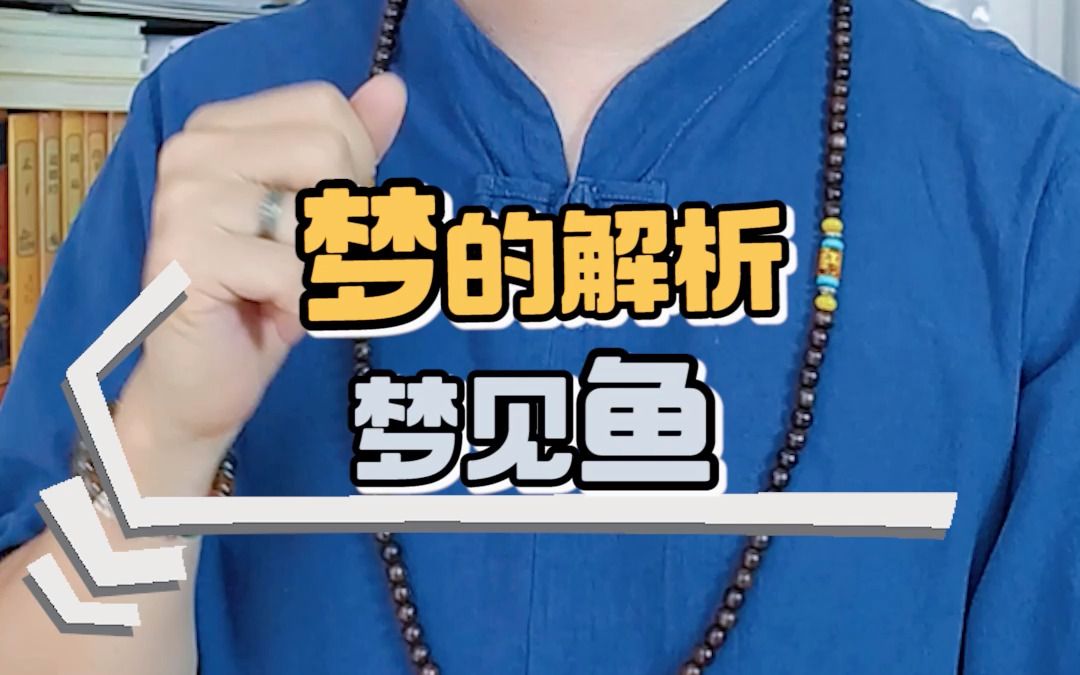 梦见鱼有什么含义?哔哩哔哩bilibili