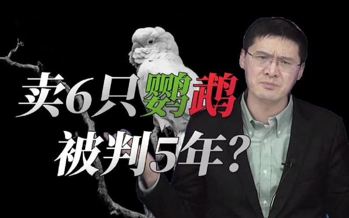 [图]【罗翔】卖6只鹦鹉被判了5年？人工驯养的珍惜鹦鹉也属于珍稀野生动物吗？