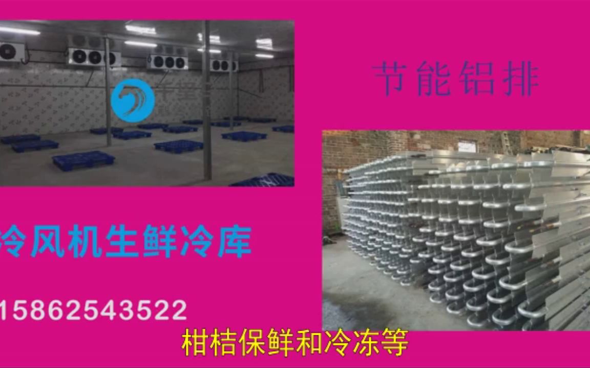 【玉溪】蜜橘十吨蔬菜保鲜冷库的成本茶叶冷库加工厂冬天图纸龙口市人参果双温微型冷库造价哔哩哔哩bilibili