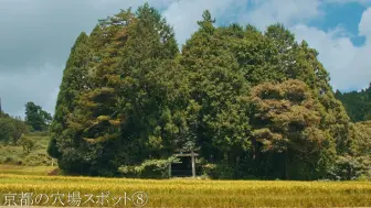 Video herunterladen: 日本绝景 京都的穴场 天空之里