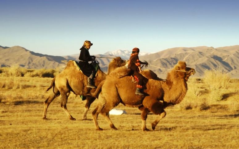 【brandon li 世界观礼】nomads of mongolia-- 蒙古牧民