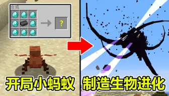 当我开局是蚂蚁，制造进化道具，最终变成凋零风暴#我的世界Minecraft