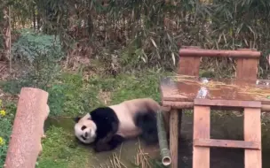 Скачать видео: 龙仁街舞王园欣可爱地摔了一跤