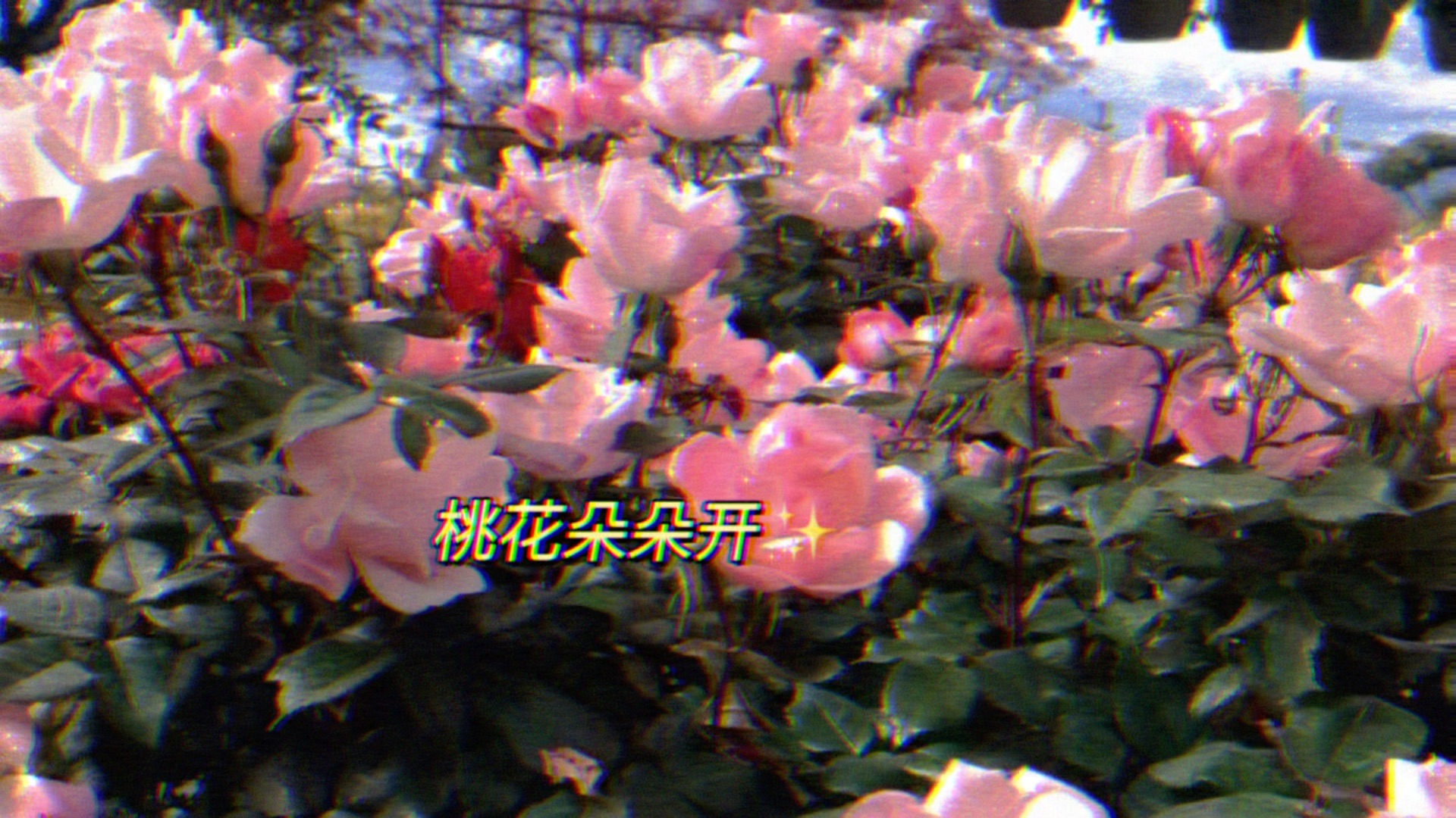 [图]【小鱼自制】桃花朵朵开的暧昧小能手