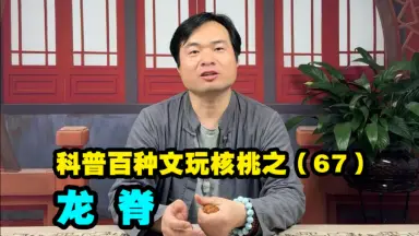龙门涧核桃-哔哩哔哩_Bilibili