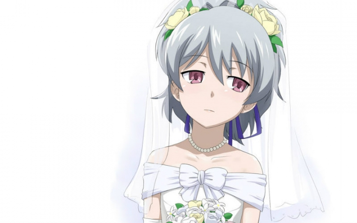 【mad】黑之契约者 黑×银 2015.1.