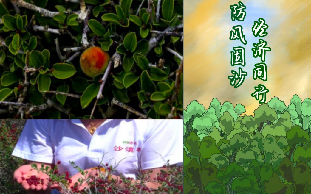 [图]植树造林助农工程公益推广