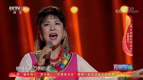 宗庸卓玛 梅里雪山的女儿 Ktv版 标清mv 哔哩哔哩 つロ干杯 Bilibili